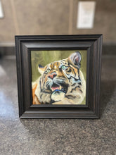Load image into Gallery viewer, Tiger