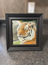 Load image into Gallery viewer, Tiger