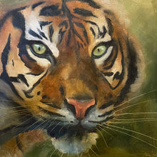 Load image into Gallery viewer, Tiger
