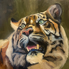 Load image into Gallery viewer, Tiger
