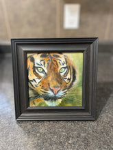 Load image into Gallery viewer, Tiger
